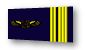 colonel