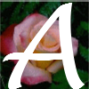 Annonce