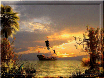 Qui prend des vacances sur notre île ?