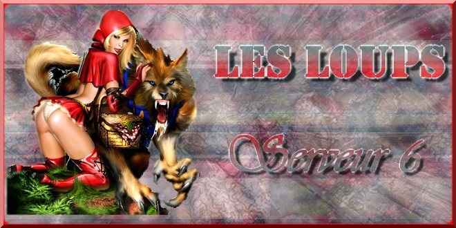 les loups du s6 Index du Forum