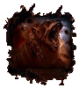 No new posts
