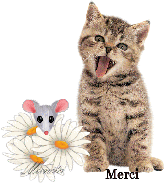 chat-et-souris-merci-1851be5.gif