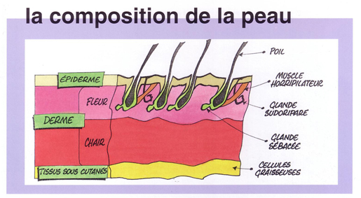 Le bronzage dans le solarium de la tache de rousseur