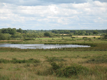 brenne rencontres au naturel