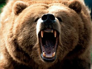 Ours Ministre
