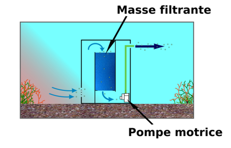 masse filtrante aquarium