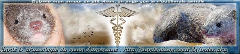 Référence santé & physiologie du vison d'Amérique Index du Forum