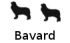 Bavard