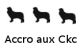 Accro aux ckc