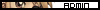Administrateur du server