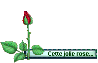 :messrose