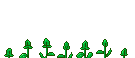 fleurs