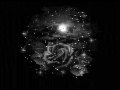 La Rose Noire's Familly Index du Forum