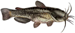 Poisson