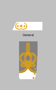 Lieutenant Général