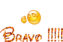 Bravo !!!