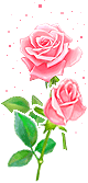 :blrose::