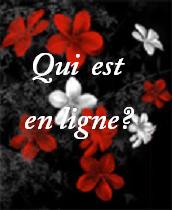 Qui est en ligne ?