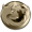 No new posts No new posts