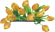 Fleur 5