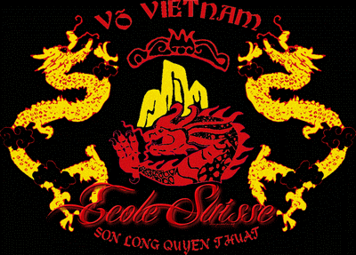 Résultat de recherche d'images pour "ecole suisse de vo vietnam"