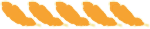 Administratrice