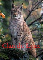 Clan du Lynx