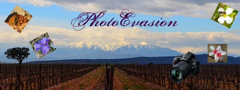 photoevasion Index du Forum