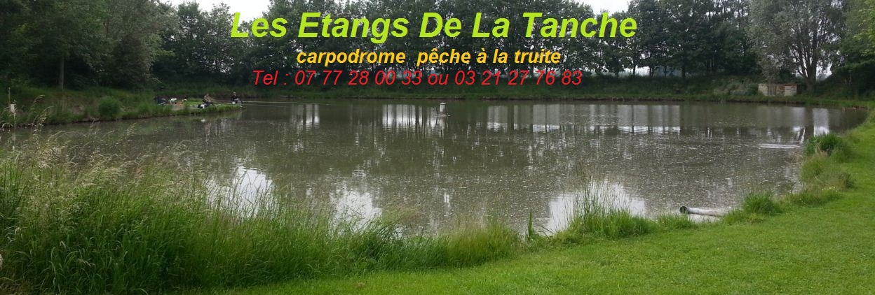 les étangs de la tanche Index du Forum