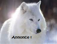 Announcement