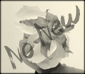 No new posts