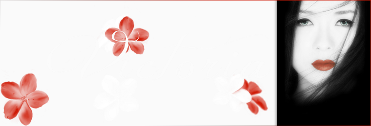Index du Forum