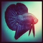 New posts