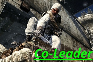 Co-Leader
