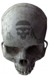 No new posts No new posts