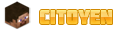 Citoyen