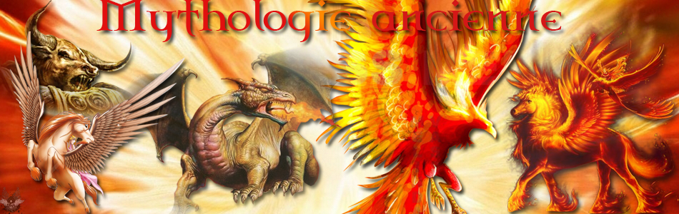 Afficher limage dorigine