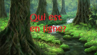 Qui est en ligne ?