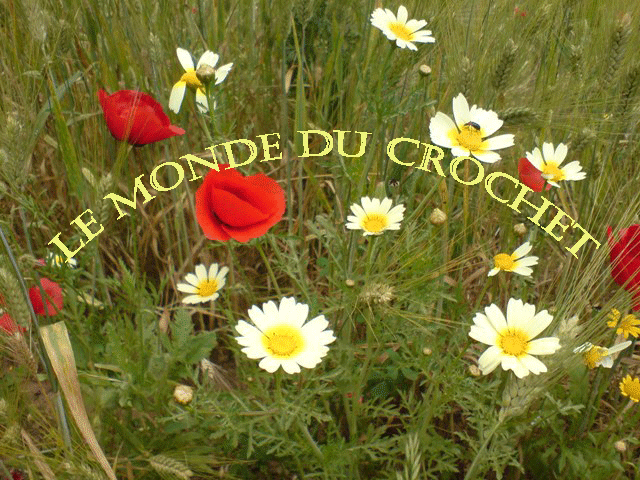 Le monde du crochet Forum Index