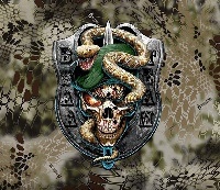 BSAA18