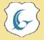 CodeGeasX