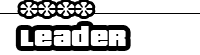 Leader RAID