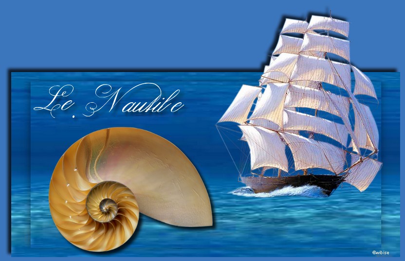 Le.Nautile Forum Index