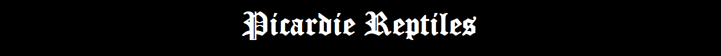 Reptiles de Picardie Index du Forum