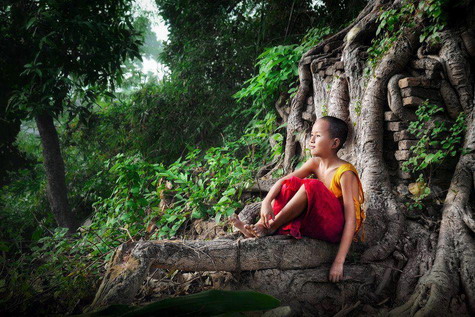 Thai forest Monastery Forum Index