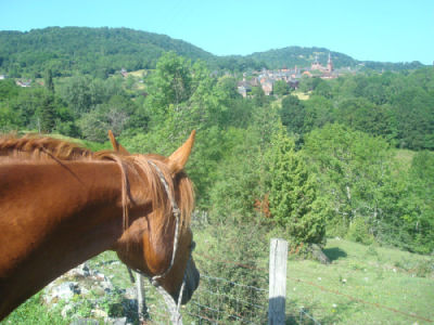 l'équitation passion en correze Index du Forum