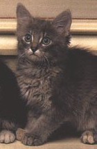 New posts