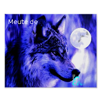 Meute de l'Eau