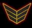 Pilots