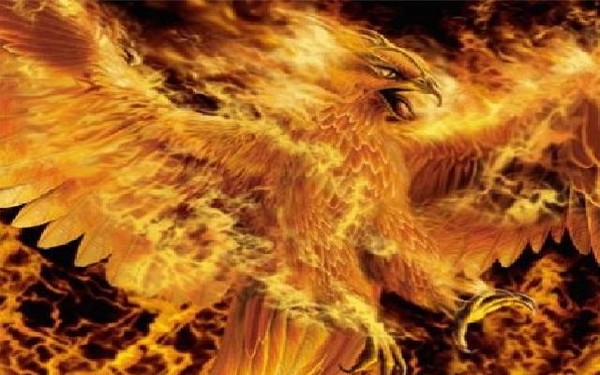 le phénix Index du Forum
